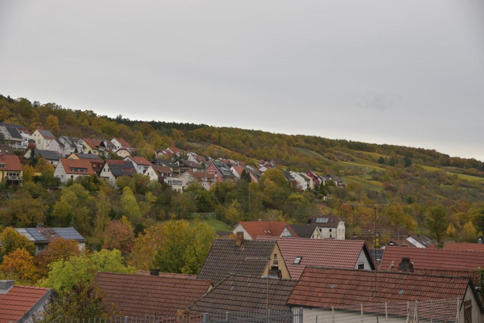 Ferienhaus An Der Hoeh' Zellingen エクステリア 写真
