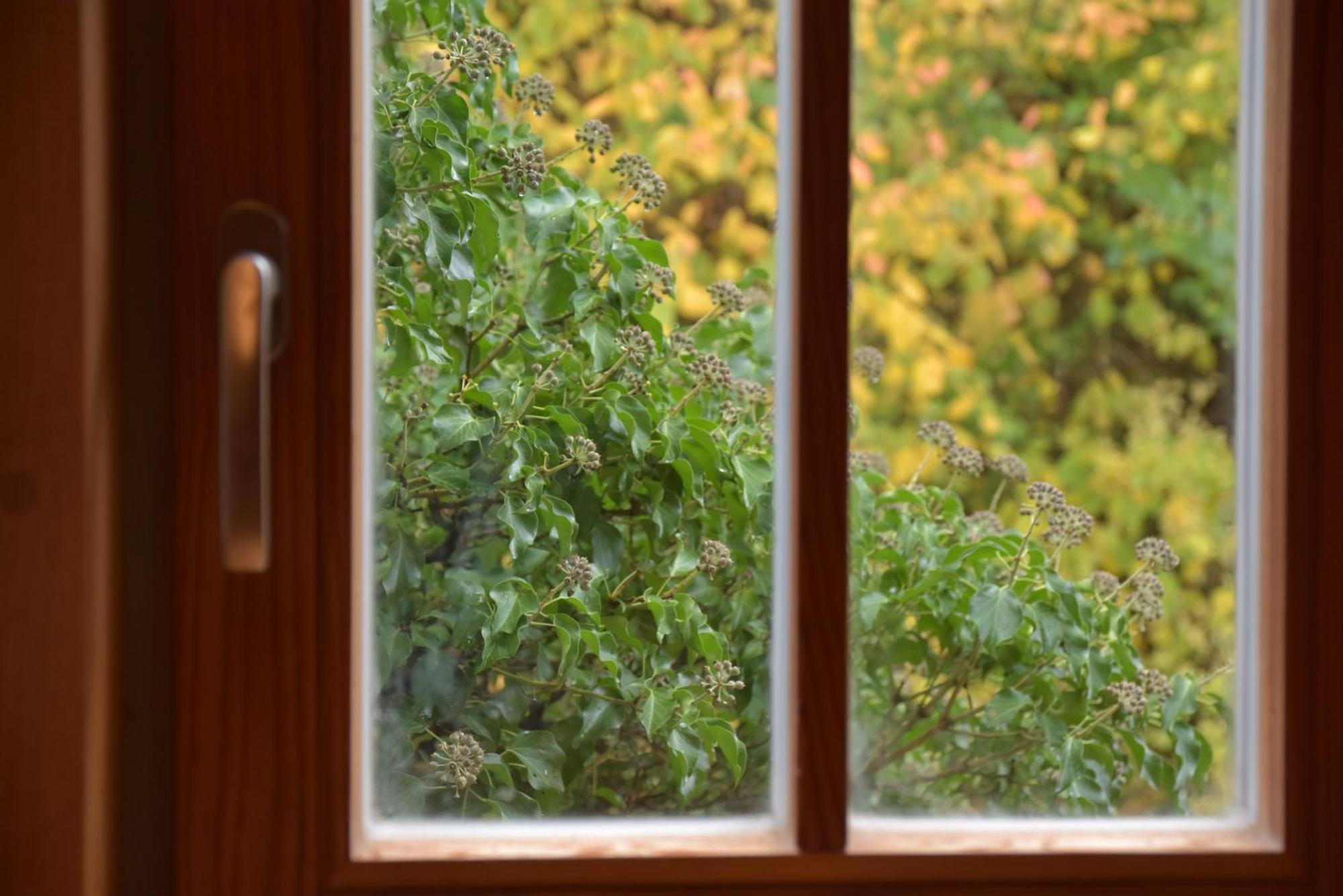 Ferienhaus An Der Hoeh' Zellingen エクステリア 写真