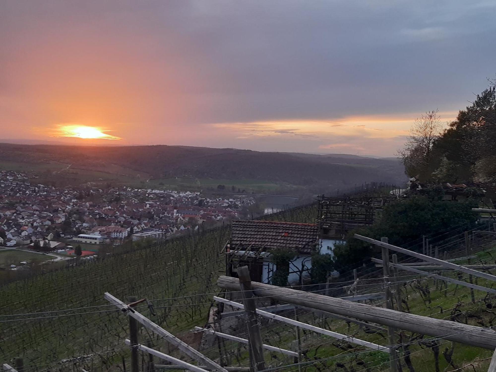 Ferienhaus An Der Hoeh' Zellingen エクステリア 写真